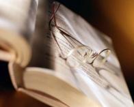 Lunettes posées sur un livre ouvert
