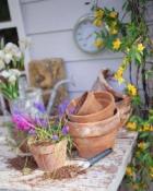 Pots de fleurs